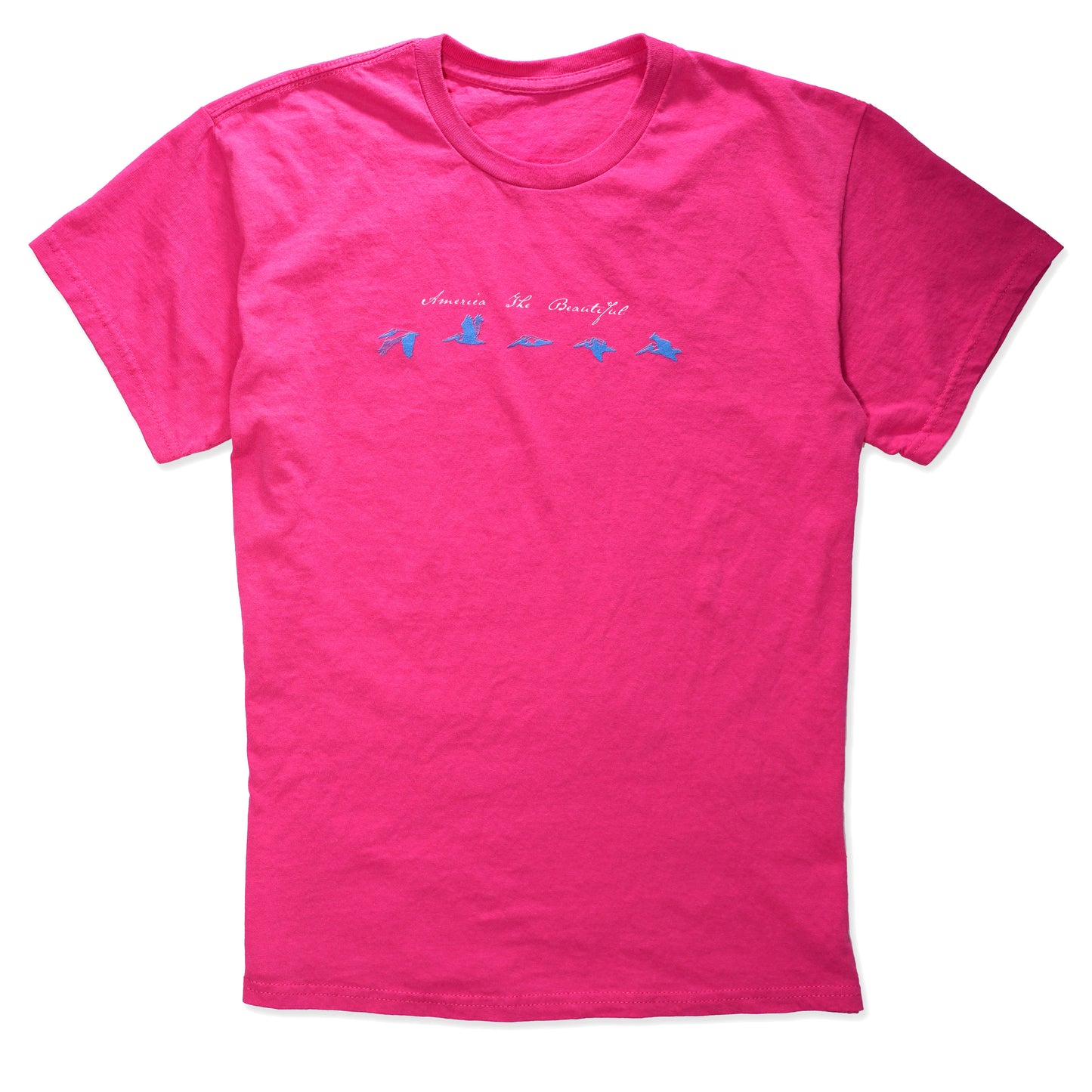 Pelican Flyby Mens Graphic Tee By America The Beautiful®