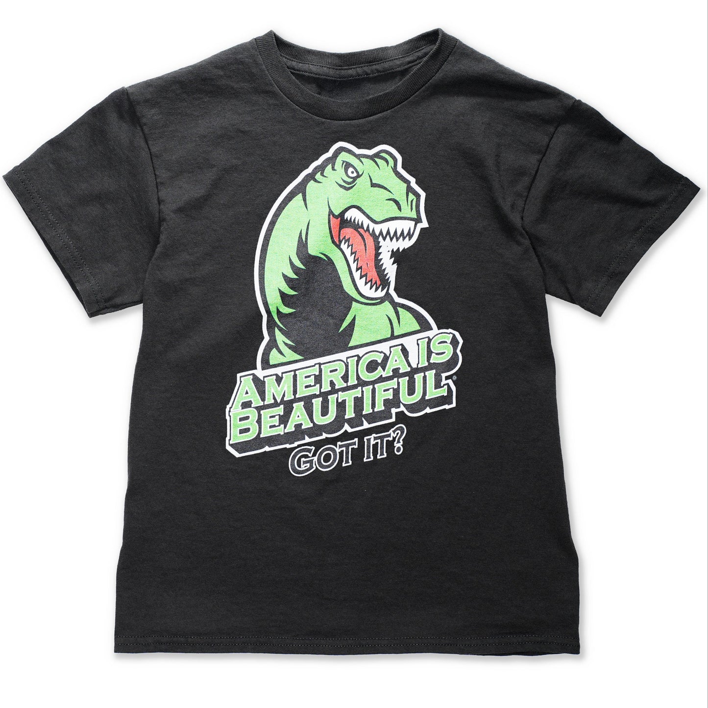 America Is Beautiful® Got-it? Youth T-Rex Tee