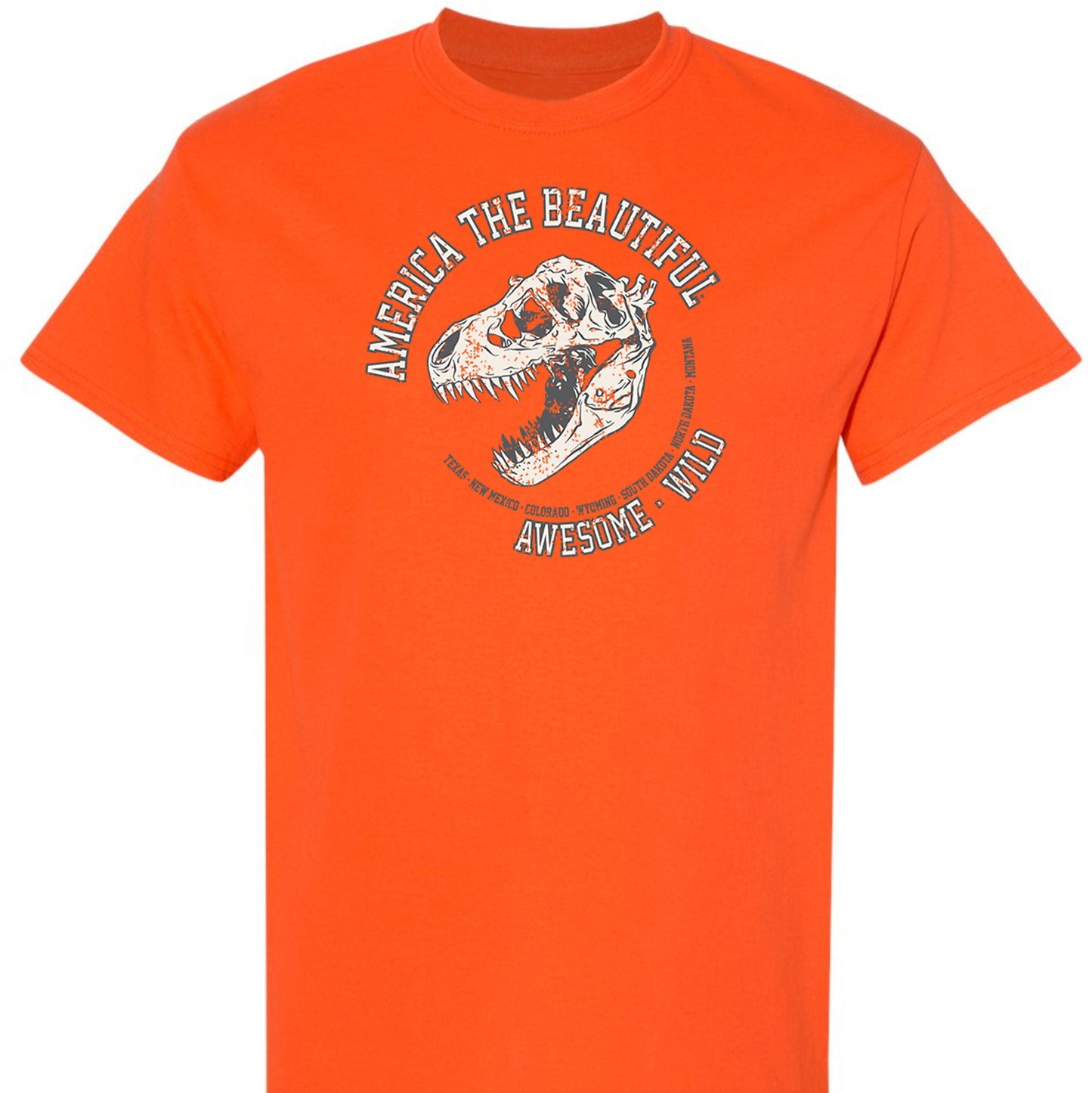 America The Beautiful® Youth T-Rex Fossil Graphic T-shirt