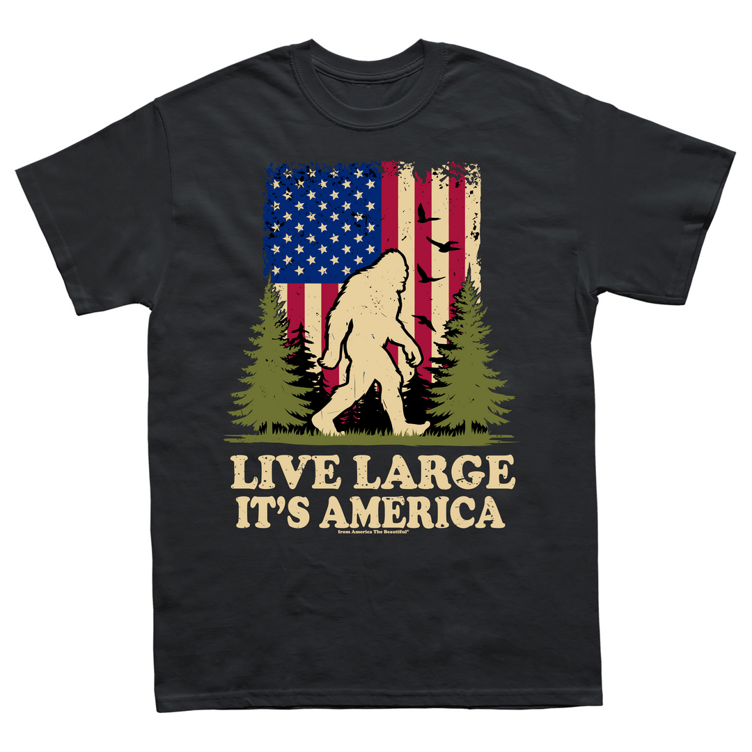 Bigfoot Message Tee 1