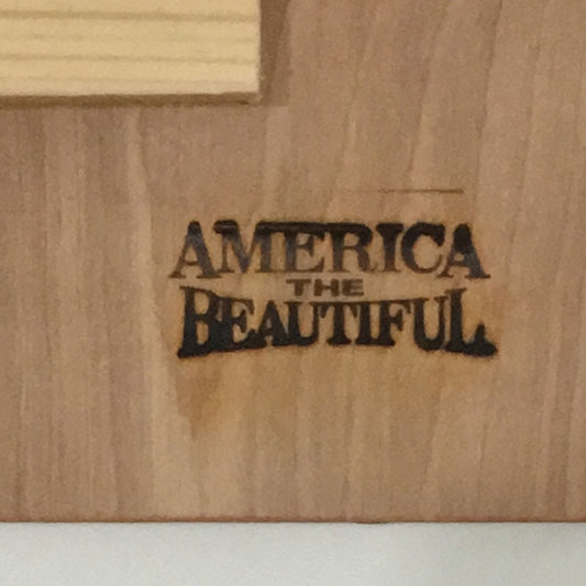 Barn Star Wood Wall Plaque by America The Beautiful®