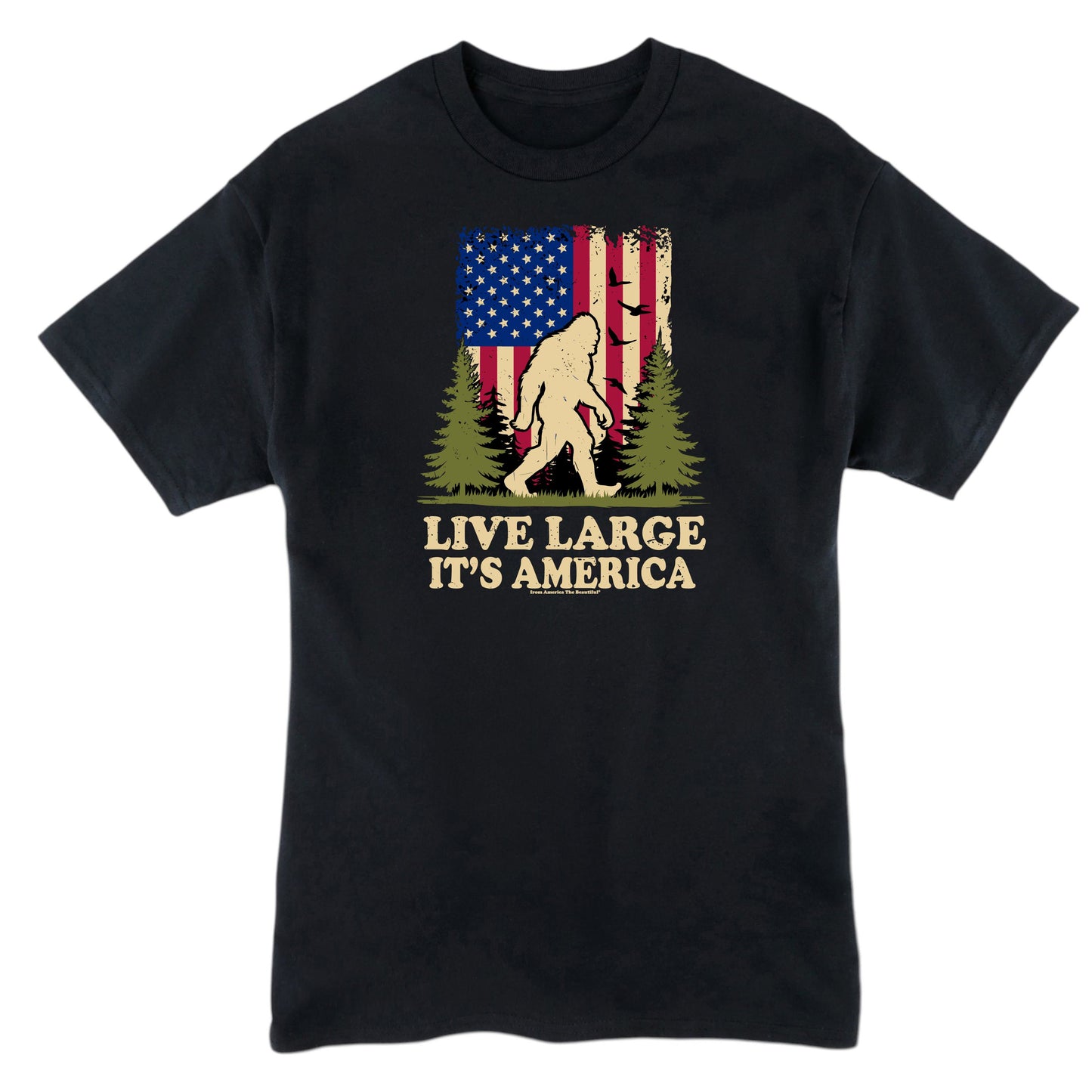 Bigfoot Message Tee 1.0 from America The Beautiful® - M