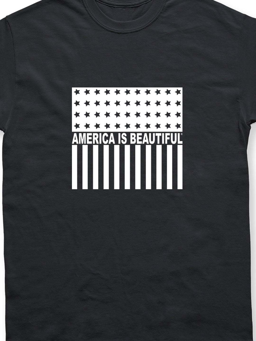 Freedom Icon American Flag Short Sleeve Adult Graphic T-Shirt - white on black