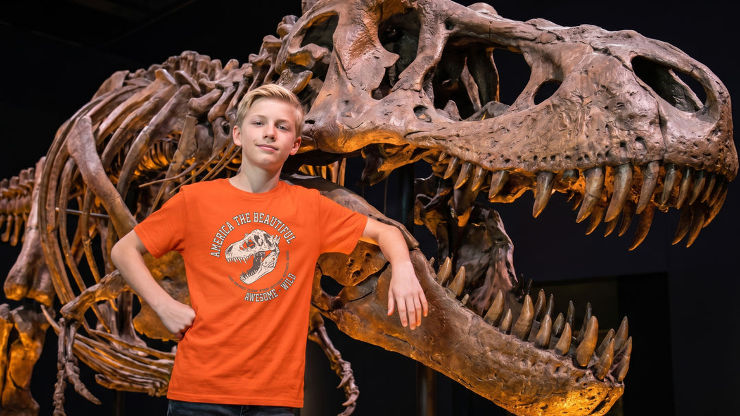 Boy wearing an orange t-shirt with a T-Rex dinosaur graphic in front of a dinosaur skeleton display