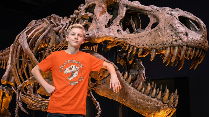 Boy wearing an orange t-shirt with a T-Rex dinosaur graphic in front of a dinosaur skeleton display