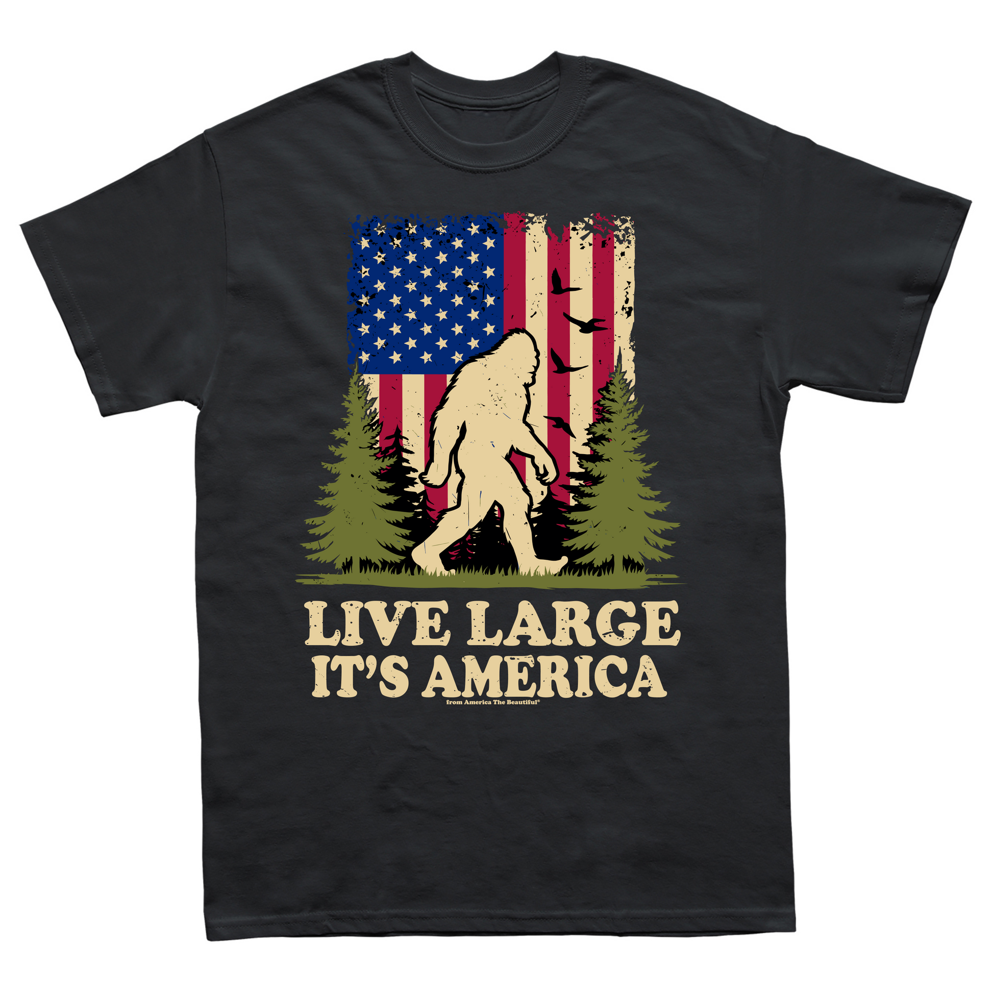 Bigfoot Message Tee 1