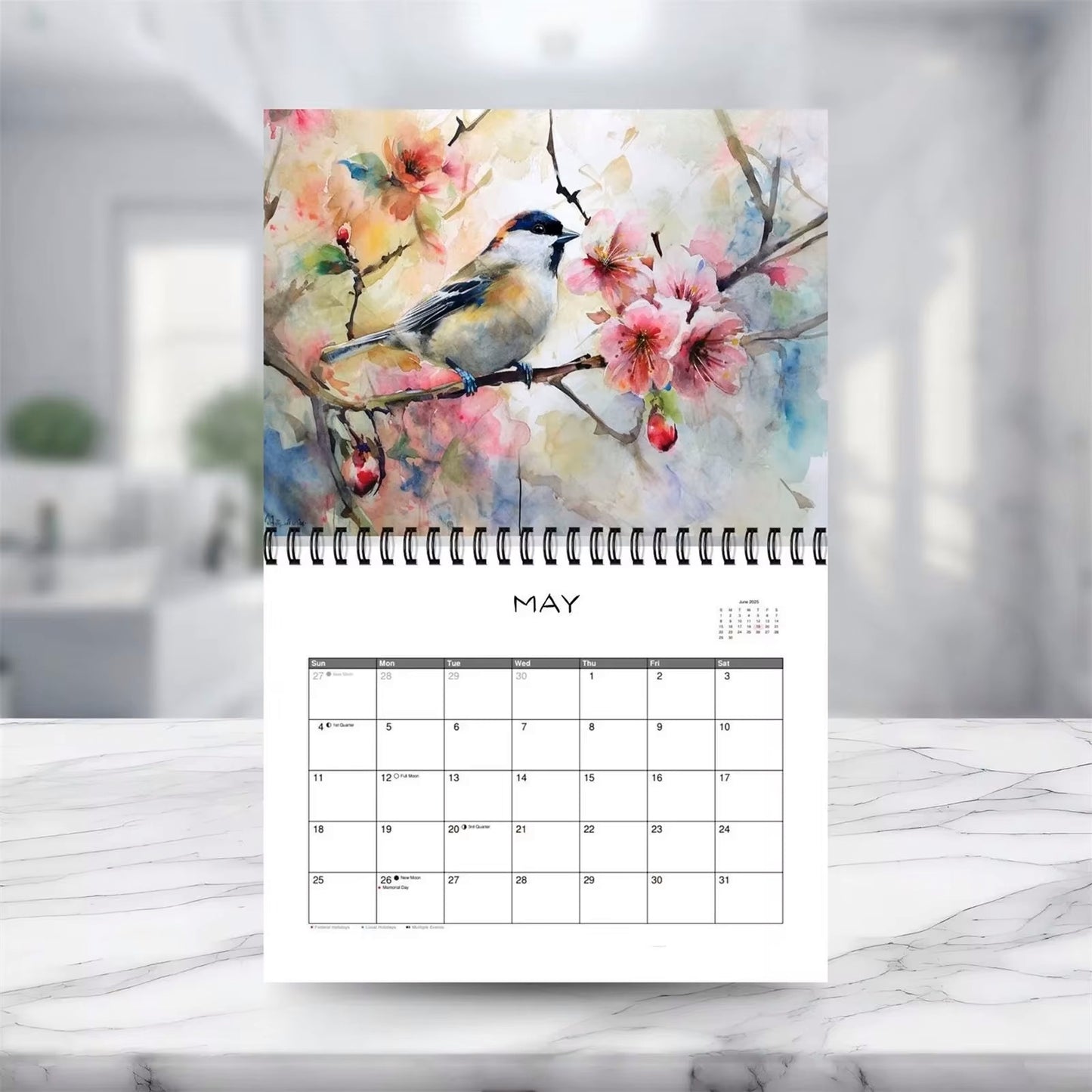 2025 Feathered Friends Wall Calendar by America Is Beautiful™