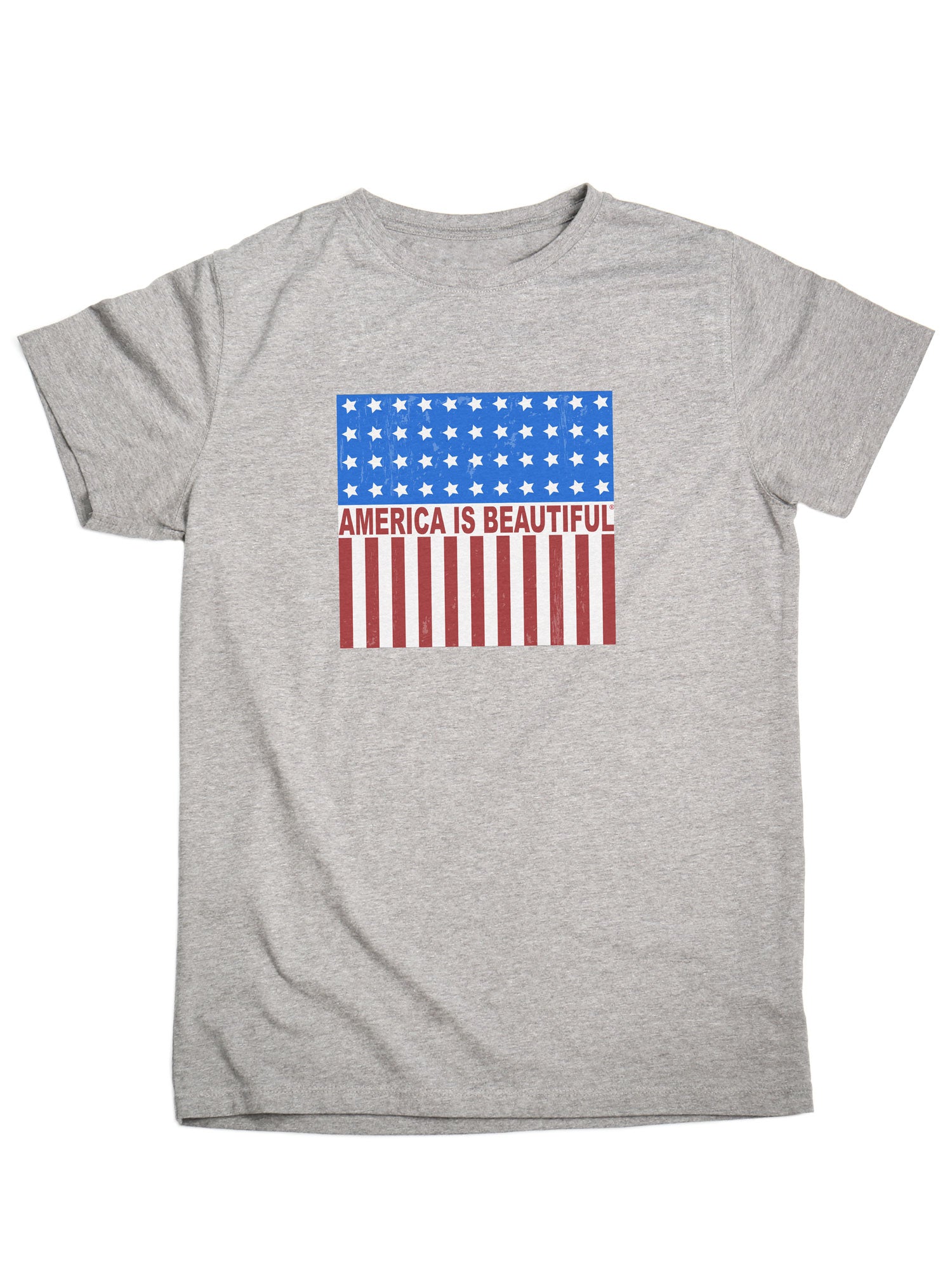 Freedom Icon American Flag Short Sleeve Adult Grey Graphic T-Shirt