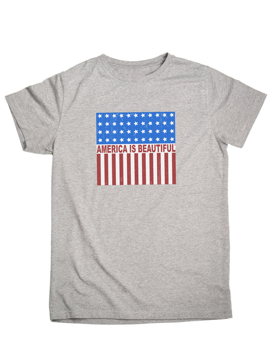 Freedom Icon American Flag Short Sleeve Adult Grey Graphic T-Shirt