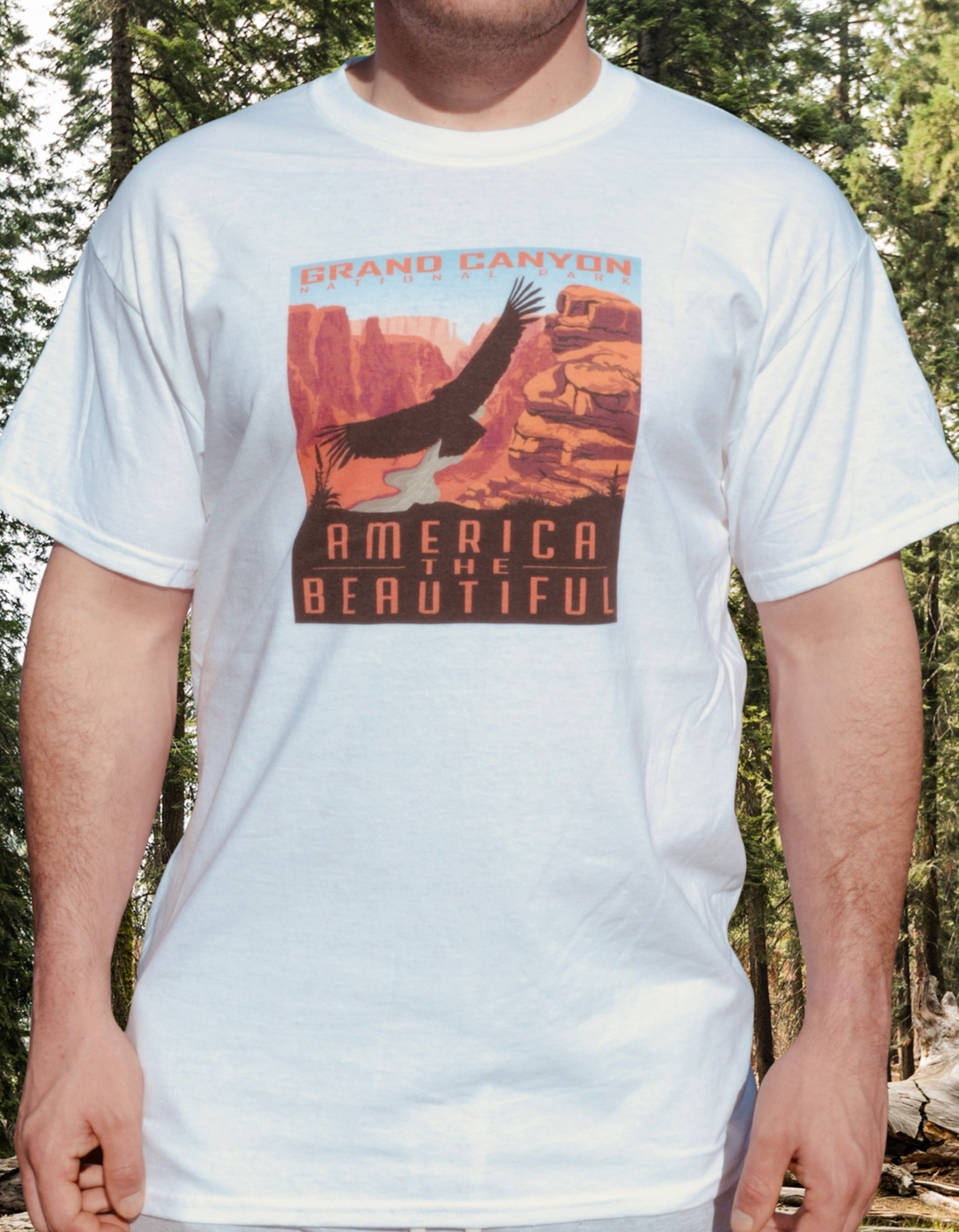 America The Beautiful® Grand Canyon National Park Soaring Condor Mens Graphic Tee