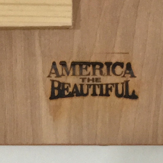 close-up of hot brand mark on back of america the beautiful old faithful erupting at yellowstone national park wood wall décor sign plaque